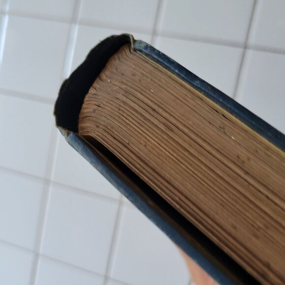 My Native Land By James Cox Illustrated Hardcover 1903 Vintage Book Staging Deco - Picture 9 of 11